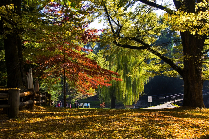Beautiful BrightPhotography by David Willis